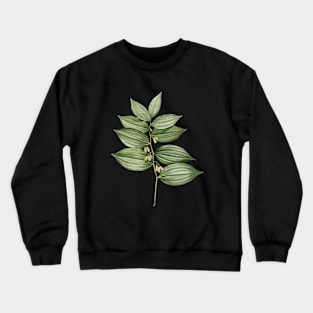 Vintage King Solomon's Seal Botanical Illustration Crewneck Sweatshirt